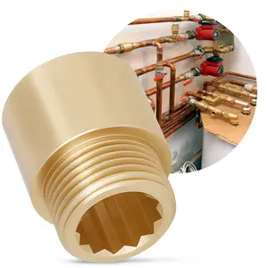 Przedłużka mosiężna 1/2'' GW x 1/2'' GZ x 20 mm