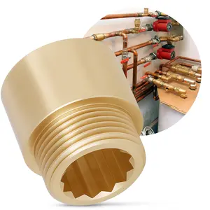 Przedłużka mosiężna 3/4'' GW x 3/4'' GZ x 20 mm