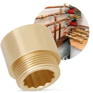 Przedłużka mosiężna 1'' GW x 1'' GZ x 25 mm