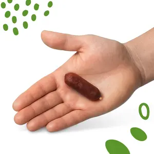 Kiełbaski z jagnięciny 500g