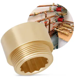 Przedłużka mosiężna 1'' GW x 1'' GZ x 20 mm