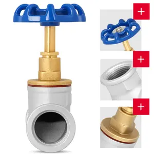 Zawór przelotowy żeliwny 2'' GW x 2'' GW