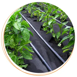 Agrowłóknina antychwastowa 50 g/m² 1,1 x 10m czarna